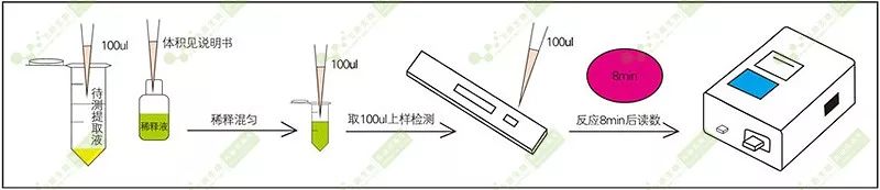 檢測操作過程 檢測操作過程