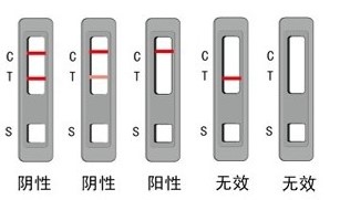 膠體金免疫層析法 膠體金免疫層析法