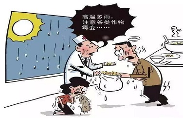 真菌毒素危害 真菌毒素危害