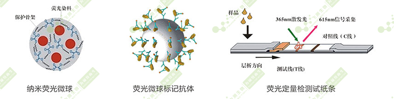 熒光定量快速檢測系統(tǒng) 熒光定量快速檢測系統(tǒng)
