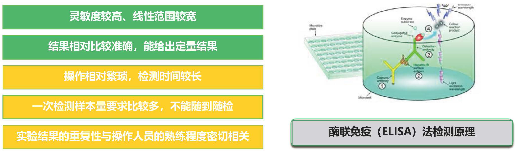 酶聯(lián)免疫法 酶聯(lián)免疫法