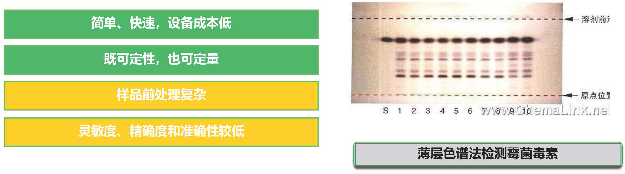 薄層分析法(TLC) 薄層分析法(TLC)