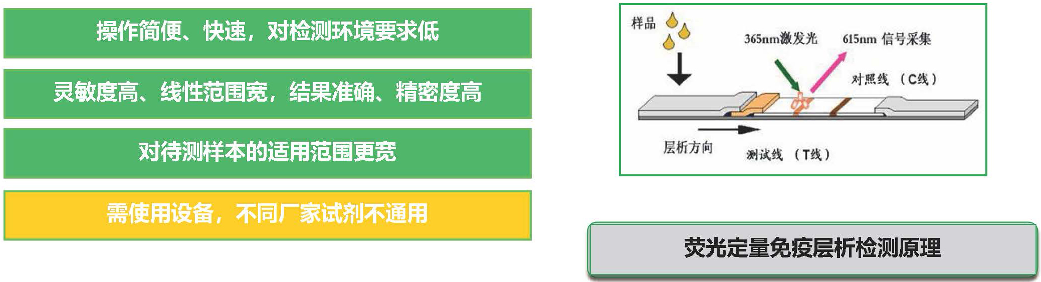 熒光定量免疫層析技術(shù) 熒光定量免疫層析技術(shù)