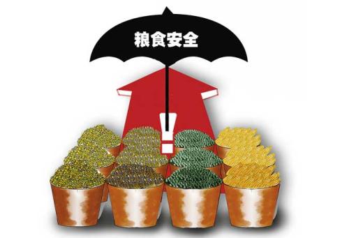 糧食安全 糧食安全