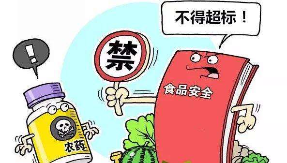 農(nóng)藥殘留檢測(cè)儀 農(nóng)藥殘留檢測(cè)儀