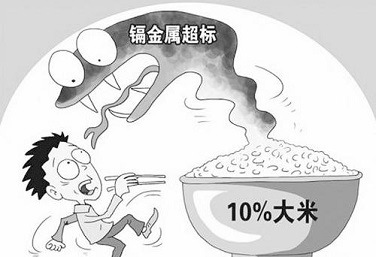 糧食重金屬鎘 糧食重金屬鎘